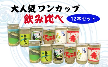 FY22-222 大人気ワンカップ飲み比べ 12本セット