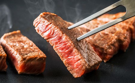 厳選 A5-A4 山形牛 メス牛 赤身ステーキ 450g(約150g×3枚) FY22-259