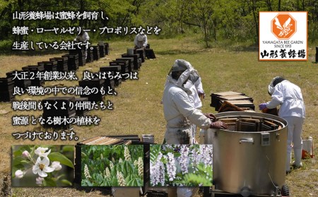 【純粋蜂蜜】 栃の木蜜・混花蜜 詰合せ 500g(各250g) FZ23-099