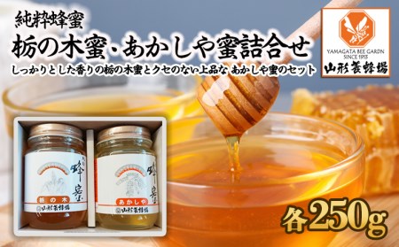 【純粋蜂蜜】 栃の木蜜・あかしや蜜 詰合せ 500g(各250g) FZ22-944