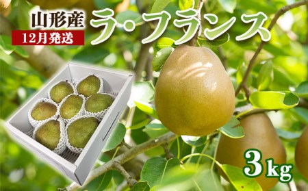 山形のラ・フランス 秀 約3kg(6～9玉・3L～6L)[12月発送]【令和8年産先行予約】FS25-779