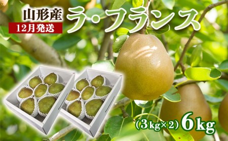 山形のラ・フランス 秀 約6kg(12～18玉・3L～6L)[12月発送]【令和8年産先行予約】  FS25-785
