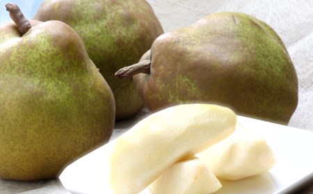 山形のラ・フランス 秀 約6kg(12～18玉・3L～6L)[12月発送]【令和8年産先行予約】  FS25-785