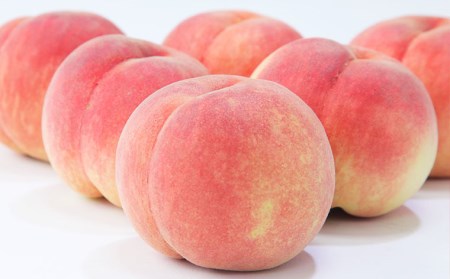 ☆フルーツ王国山形☆白桃 秀品 2kg(かたいままの桃) 【令和8年産先行予約】 FS25-672 くだもの 果物 フルーツ 山形 山形県 山形市 2026年産