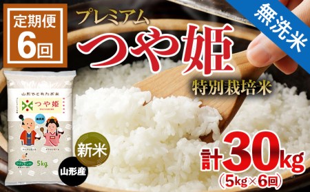 令和5年産新米先行予約】【定期便6回】 [無洗米]プレミアムつや姫(特別