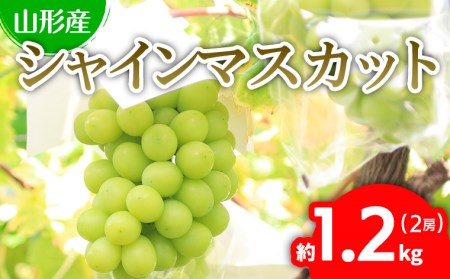 FS18-834 山形産 シャインマスカット 約1.2kg(2房)秀