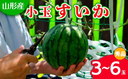 FS18-839 【令和4年産先行予約】山形産 小玉すいか(3~6玉)秀