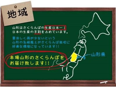 ★母の日★山形さくらんぼ佐藤錦 L 300g手詰メッセージ付(5/5～5/11着) 【令和7年産先行予約】FU18-298 くだもの 果物 フルーツ 山形 山形県 山形市 2025年産