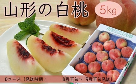 FS18-899 山形の白桃 5kg(10~16玉)Bコース(柔らかくなる品種・果肉やや ...