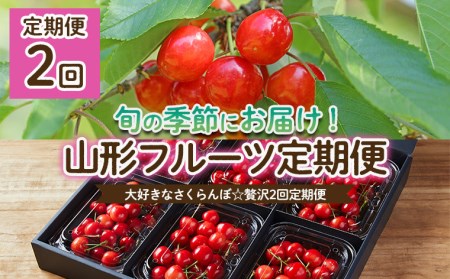 定期便2回】大好きなさくらんぼ☆贅沢2回定期便 【令和6年産先行予約