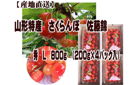 山形特産 さくらんぼ 佐藤錦 L 800g(200g×4パック入) 【令和6年産先行