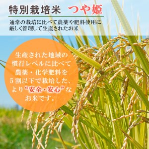 [令和5年産] JA山形市の「プレミアムつや姫」 玄米 (特別栽培米) 15kg FY22-573