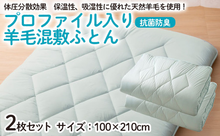 【日本の極み】プロファイル入り 羊毛混敷ふとん 2枚セット  FZ23-347