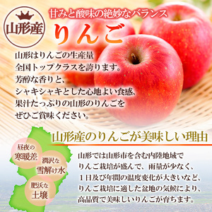 【家庭用】山形産 サンふじりんご 優品以上 10kg FZ23-452