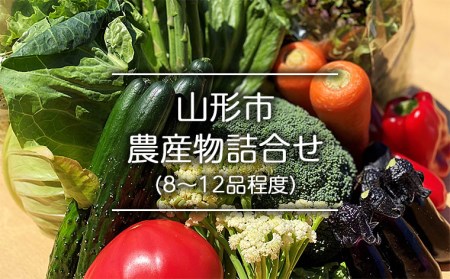 FY19-194 山形市農産物詰合せ(5~10品程度)
