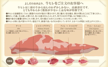 厳選A5-A4 山形牛 ヒレステーキ 約260g(130g×2枚) FZ22-395