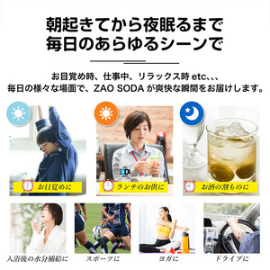ZAO SODA 強炭酸水(プレーン) 500ml×48本 FZ23-526