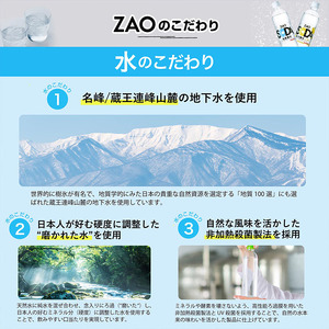 ZAO SODA 強炭酸水(レモン) 500ml×48本 FZ23-527 | 山形県山形市