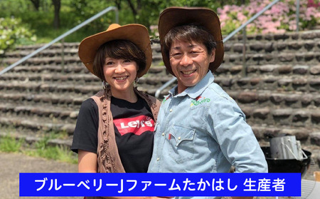 山形産 農薬不使用 冷凍ブルーベリー【ガイアの雫】800g(400g×2)★真空包装★  FZ23-581