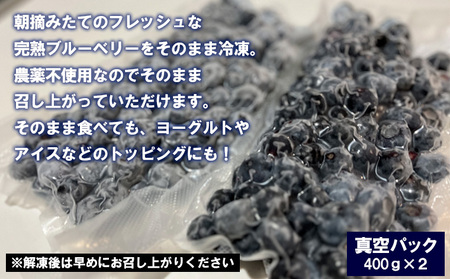 山形産 農薬不使用 冷凍ブルーベリー【ガイアの雫】800g(400g×2)★真空包装★  FZ23-581