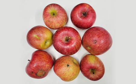 【ご自宅用】サンふじりんごとラ・フランスの詰め合わせ　約5kg FZ23-989