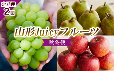【定期便2回】山形 Juicyフルーツ 秋冬便 【令和8年産先行予約】FU23-925 くだもの 果物 フルーツ 山形 山形県 山形市 2026年産
