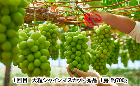 【定期便2回】山形 Juicyフルーツ 秋冬便 【令和8年産先行予約】FU23-925 くだもの 果物 フルーツ 山形 山形県 山形市 2026年産