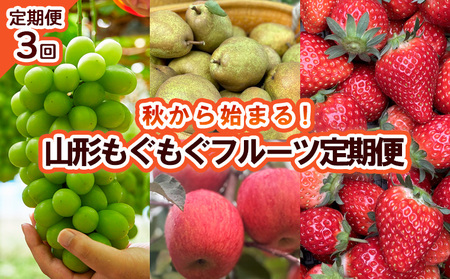 【定期便3回】秋から始まる！山形もぐもぐフルーツ定期便 【令和8年産先行予約】FU23-926 くだもの 果物 フルーツ 山形 山形県 山形市 2026年産