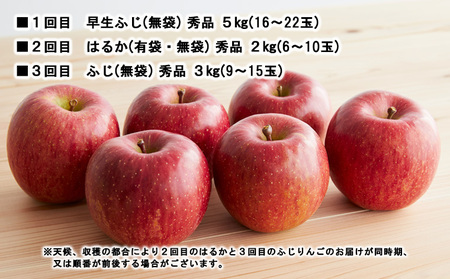 【定期便3回】やまがた秋のりんご三昧【令和8年産先行予約】FS23-638