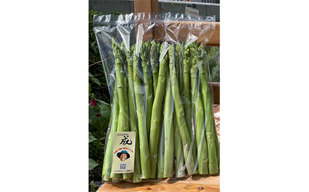 《 先行予約 》【 令和8年産 春芽 】 アスパラガス L 1kg ( 太物 L以上 )〔 2026年5月中旬頃 ~ 発送予定 〕 アスパラ 野菜 農園成 産地直送 農家直送 2026年産