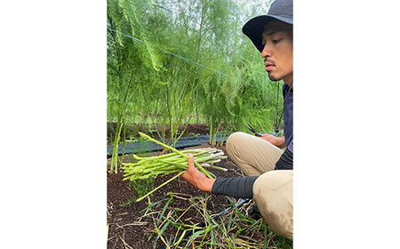 《 先行予約 》【 令和8年産 春芽 】 アスパラガス L 1kg ( 太物 L以上 )〔 2026年5月中旬頃 ~ 発送予定 〕 アスパラ 野菜 農園成 産地直送 農家直送 2026年産