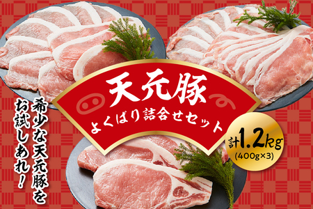 天元豚 よくばり詰合せセット 計1.2kg 豚肉 しゃぶしゃぶ 焼肉 とんかつ 食べ比べ 詰め合わせ 便利 小分け ブランド豚 安全 ヘルシー ポーク 低カロリー おかず お取り寄せ 送料無料 東北 山形県 米沢市