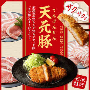 天元豚 よくばり詰合せセット 計1.2kg 豚肉 しゃぶしゃぶ 焼肉 とんかつ 食べ比べ 詰め合わせ 便利 小分け ブランド豚 安全 ヘルシー ポーク 低カロリー おかず お取り寄せ 送料無料 東北 山形県 米沢市