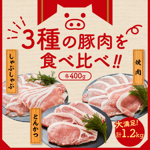 天元豚 よくばり詰合せセット 計1.2kg 豚肉 しゃぶしゃぶ 焼肉 とんかつ 食べ比べ 詰め合わせ 便利 小分け ブランド豚 安全 ヘルシー ポーク 低カロリー おかず お取り寄せ 送料無料 東北 山形県 米沢市