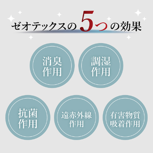 ゼオテックス ごろ寝パット