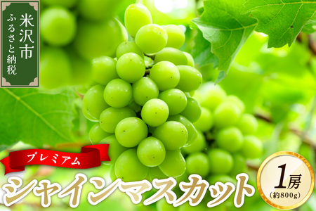 【先行予約】 令和8年産 プレミアム シャインマスカット 1房 ( 約800g ) 2026年10月頃～ お届け予定