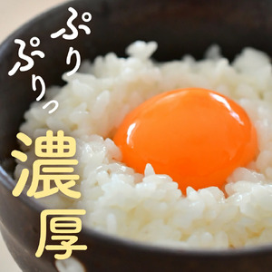 紅花たまご セット 30個  卵 たまご 赤玉 鶏卵 黄身 白身 産みたて 卵かけ ご飯 親子丼 オムレツ 朝食 たんぱく質 新鮮 栄養 濃厚 甘み コク 山田鶏卵 送料無料 山形県 米沢市