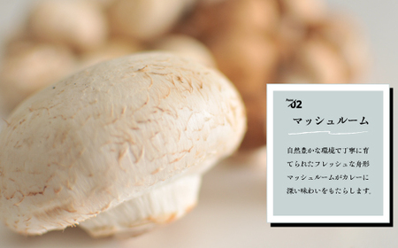 黒毛和牛の ビーフカレー 180g × 8袋 山形県産 マッシュルーム 入り 人気 の レトルトカレー ご飯に合う 欧風 常温 レトルト 食品 詰合せ