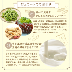 【3ヶ月定期便】3種類 の プレミアムジェラート 6個 /月 鷹山秘伝豆 おきたまラムレーズン 神室落花生 90ml 6個 入り × 3ヶ月 アイス スイーツ デザート 食べ比べ 山形県 米沢市