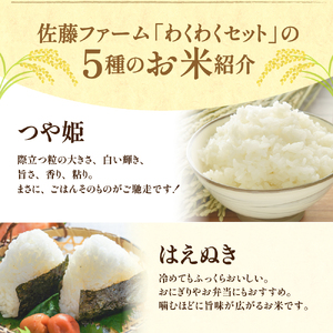 《 新米 》【 令和6年産 新米 】 わくわくセット 計 10kg 〔 つや姫 ササニシキ ミルキークイーン はえぬき コシヒカリ 各 2kg 〕 5品種 食べ比べ 農家直送 2024年産 米沢産 精米 お米 白米 ブランド米 送料無料 期間限定 山形県 米沢市