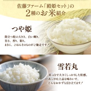 《 先行予約 》【 令和6年産 新米 】 殿姫セット つや姫 雪若丸 5kg × 各1袋 （ 計 10kg ） 2品種 食べ比べ 農家直送 2024年 米沢産 精米 お米 白米 ブランド米 期間限定 送料無料 山形県 米沢市