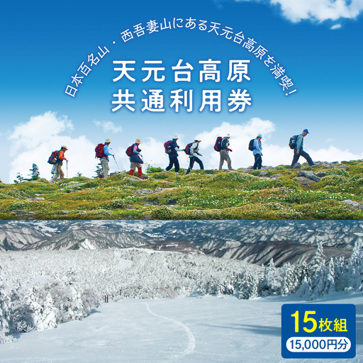 天元台高原 共通利用券 15枚組 ( 1万5千円分 ) トレッキング グリーンシーズン スキー スノーボード ウィンタースポーツ 天元台 西吾妻山