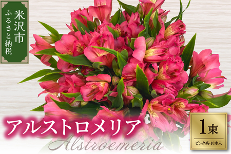 アルストロメリア 1束 ( 10本 入り ) 〔 ピンク系 〕 花 生花