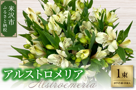 アルストロメリア 1束 ( 10本 入り ) 〔 ホワイト系 〕 花 生花