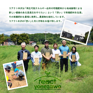 コンポスト システム 「 meguru 」 家庭用 コンポスト コンポストバッグ ネイビー 有機肥料 液肥 帆布 帆布バッグ 生ごみ処理 生ごみ 山形県 米沢市