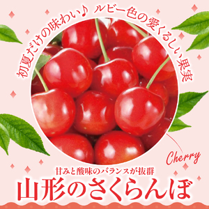 【先行予約】 令和8年産 さくらんぼ 佐藤錦 500g バラ詰め 2026年6月中旬～下旬頃お届け予定 山形県 米沢市