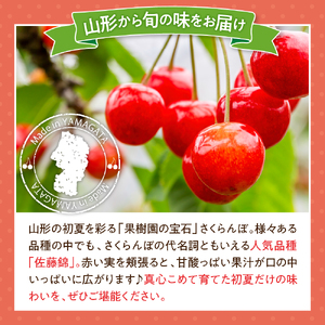【先行予約】 令和8年産 さくらんぼ 佐藤錦 500g バラ詰め 2026年6月中旬～下旬頃お届け予定 山形県 米沢市