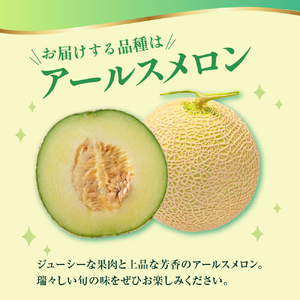 【先行予約】 令和8年産 温室 メロン マスクメロン 2玉 ( 3～4kg程度 ) 2026年9月上旬～中旬頃 お届け予定