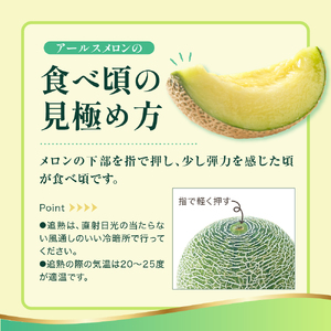 【先行予約】 令和8年産 温室 メロン マスクメロン 2玉 ( 3～4kg程度 ) 2026年9月上旬～中旬頃 お届け予定