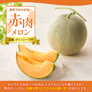 【先行予約】 令和8年産 赤肉メロン ( クインシー719 ) 1玉 2kg以上 2026年7月中旬~8月中旬頃お届け予定